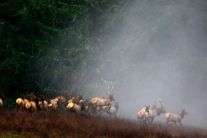 Photo by Robin Loznak