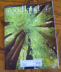 Woodlanad cover