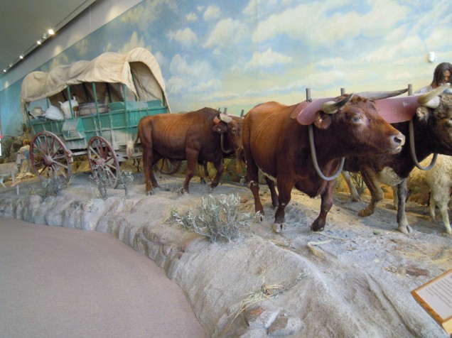 469.diorama oxen & wagon