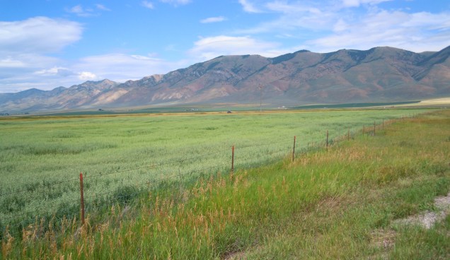 493.mountains to cross