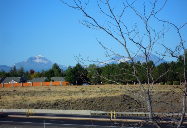 659.room view redmond