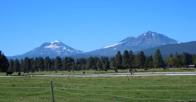 683.sisters at sisters