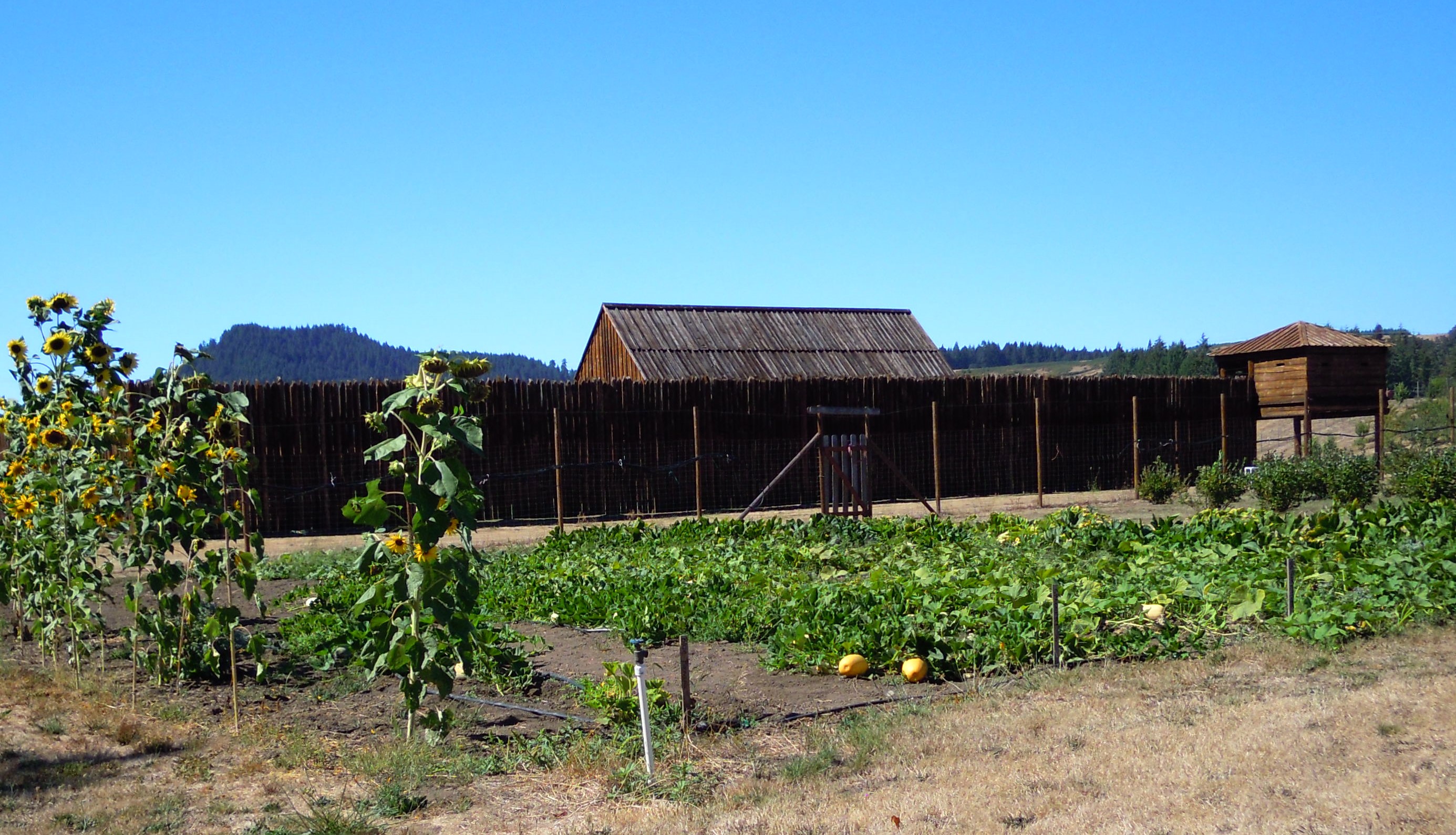 Ft.Ump.gardens-1 (2)