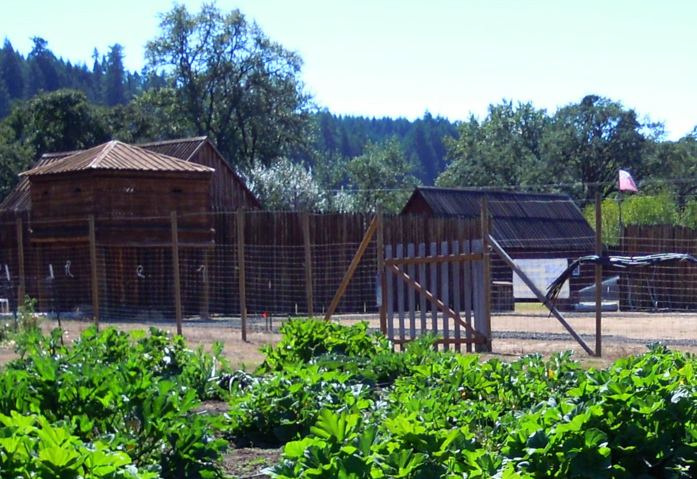 Ft.Ump.gardens-2 (2)