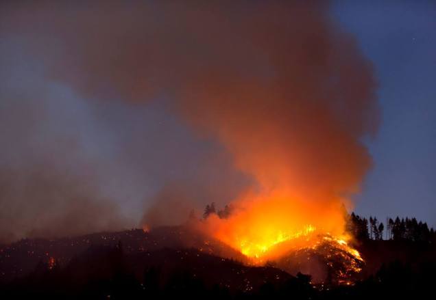 kellogg-fire-robin-2